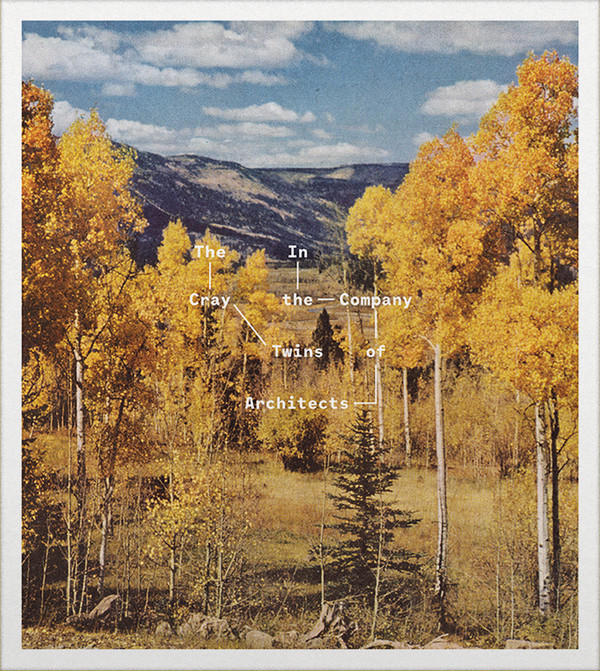 Cray Twins - In The Company Of Architects - Used CD image 1