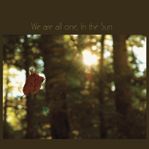 Various - We Are All One, In The Sun - Vinyl Record image 1
