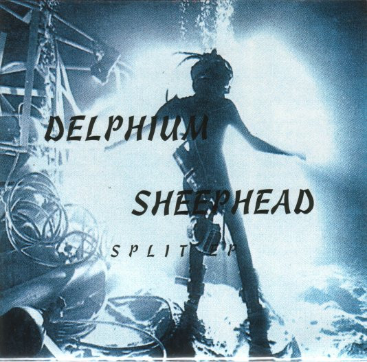 Delphium - Split EP - Vinyl Record 7" image 1