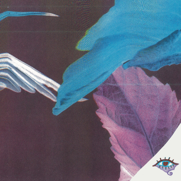 Troth - Forget The Curse - Vinyl Record image 1