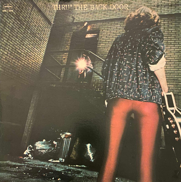 Various - Thru' The Back Door - Used Vinyl Record image 1