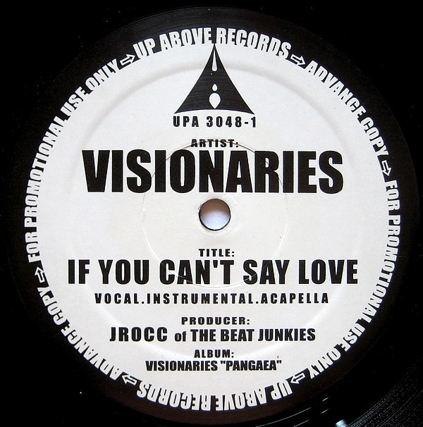 Visionaries - If You Can't Say Love / Do Make Say Think - Vin image 1