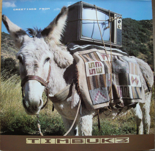 Timbuk 3 - Greetings From - Used Vinyl Record image 1