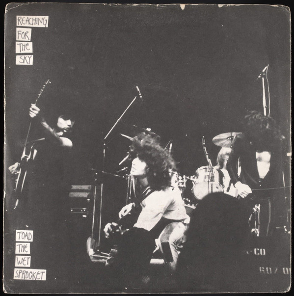 Toad The Wet Sprocke - Reaching For The Sky - Used Vinyl Record 7" image 1