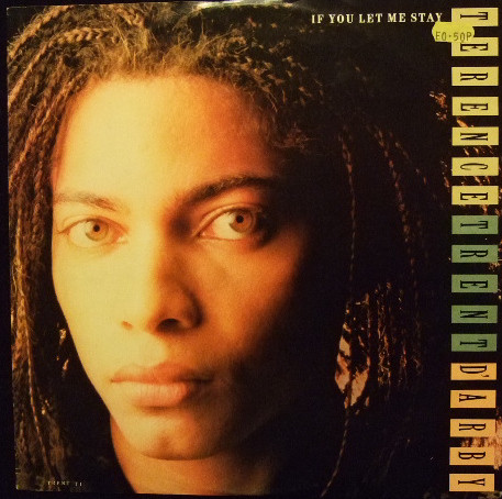Terence Trent D'Arby - If You Let Me Stay - Used Vinyl Record 12" image 1