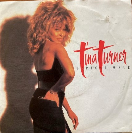Tina Turner - Typical Male - Used Vinyl Record 7" image 1
