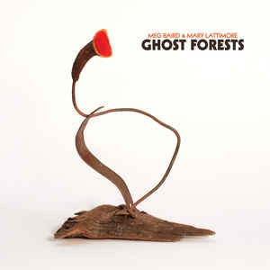 Meg Baird - Ghost Forests - Vinyl Record image 1