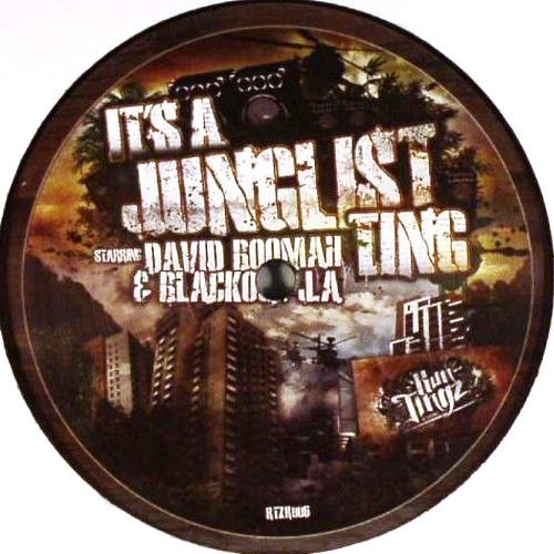 Run Tingz Cru - It's A Junglist Ting - Vinyl Record 12" image 1