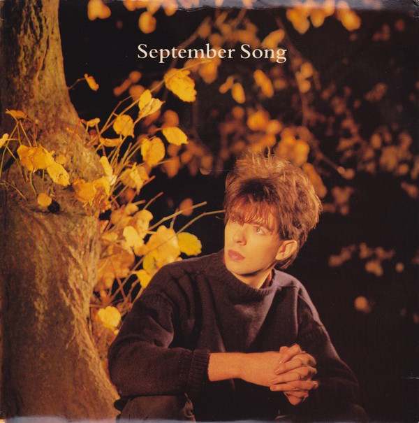 Ian McCulloch - September Song - Used Vinyl Record 7" image 1