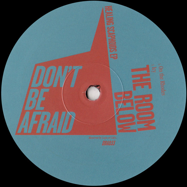 Room Below - Healing Scaphoids EP - Vinyl Record 12" image 1