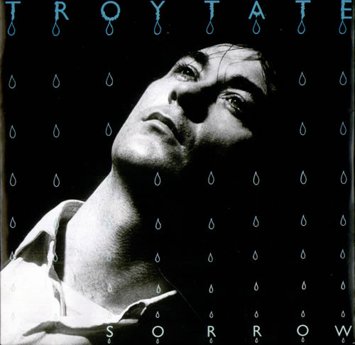 Troy Tate - Sorrow - Used Vinyl Record 7" image 1