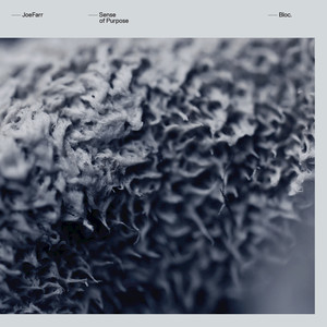 joeFarr - Sense Of Purpose - Vinyl Record image 1