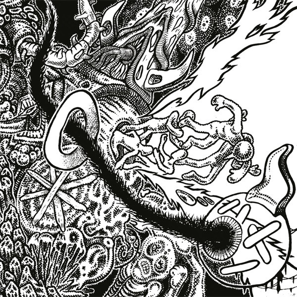 Shackleton - Music For The Quiet Hour / The Drawbar Organ EPs - CD image 1