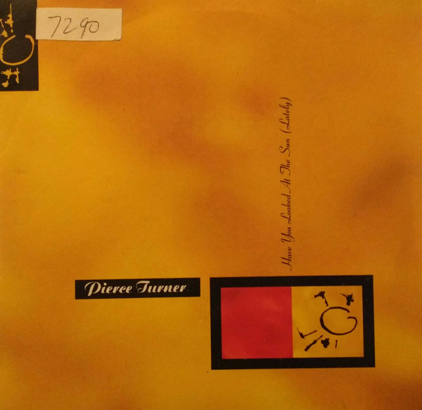 Pierce Turner - Have You Looked At The Sun (Lately) - Used Vinyl Reco image 1