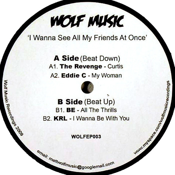 Various - I Wanna See All My Friends At Once - Vinyl Record 12" image 1
