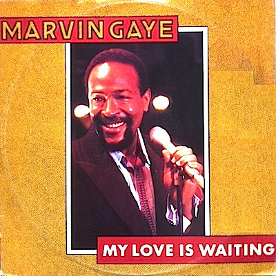 Marvin Gaye - My Love Is Waiting - Used Vinyl Record 12" image 1