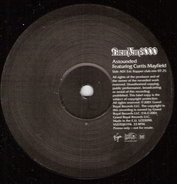 Bran Van 3000 - Astounded - Used Vinyl Record 12" image 1