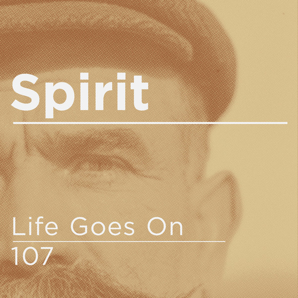 Spirit - Life Goes On / 107 - Vinyl Record 12" image 1