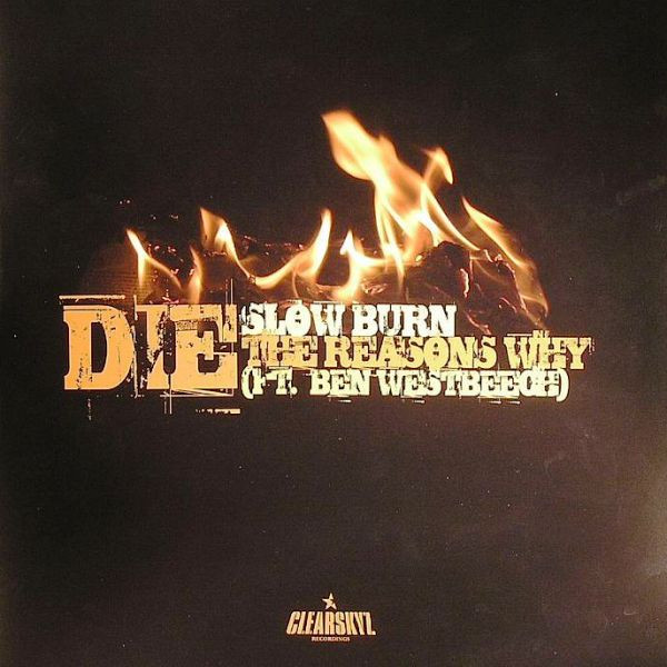 DJ Die - Slow Burn / The Reasons Why - Vinyl Record 12" image 1