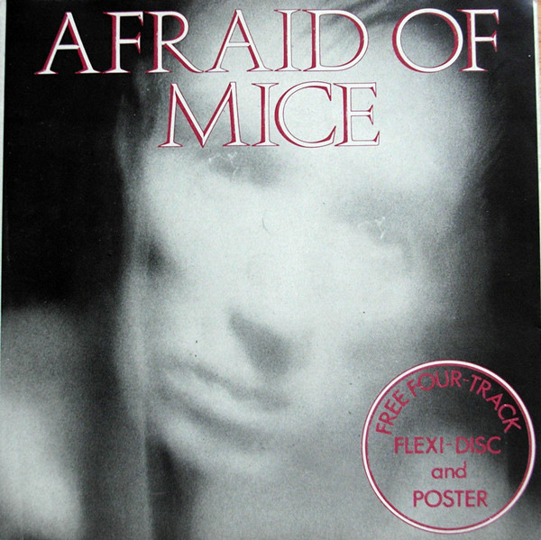 Afraid Of Mice - Medley : Popstar, Bad News, Taking It Easy, Important image 1