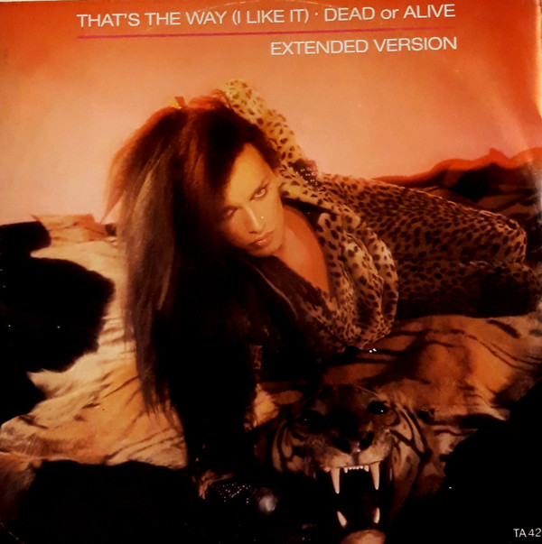 Dead Or Alive - That's The Way (I Like It) (Extended Version) - Used image 1