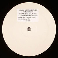 Daniel Merriweather - City Rules - Vinyl Record 12" image 1