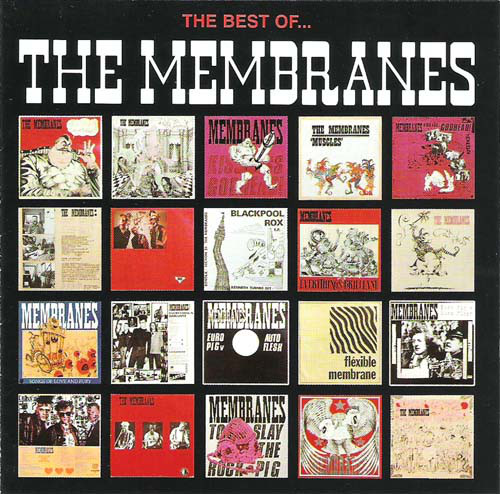 Membranes - Best Of... - Used CD image 1