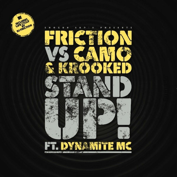 DJ Friction - Stand Up! / Life Cycle - Vinyl Record 12" image 1