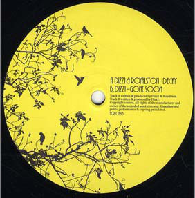 Dizz1 - Decay - Vinyl Record 12" image 1