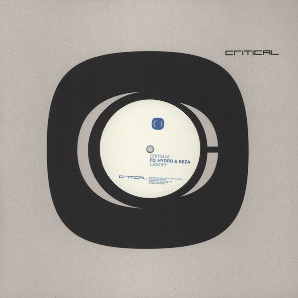 FD - Canopy /  Remorse - Vinyl Record 12" image 1