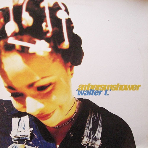 Ambersunshower - Walter T - Used Vinyl Record 12" image 1