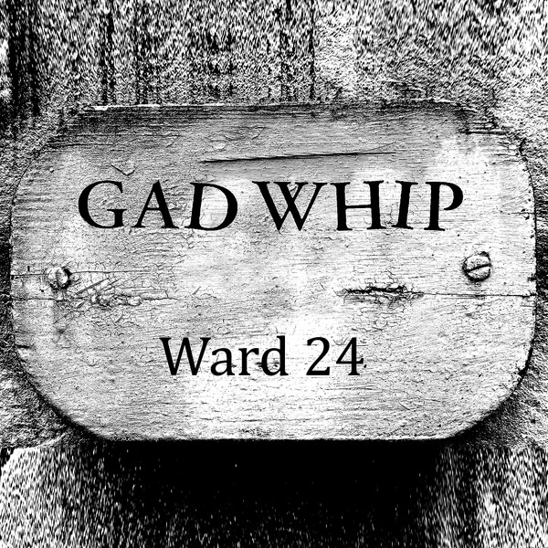 Gad Whip - Ward 24 / Trademark - Vinyl Record 7" image 1