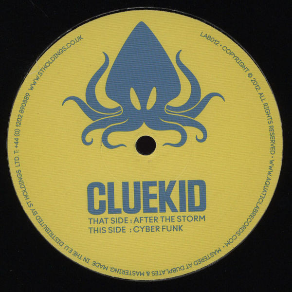 Cluekid - After The Storm / Cyber Funk - Vinyl Record 12" image 1