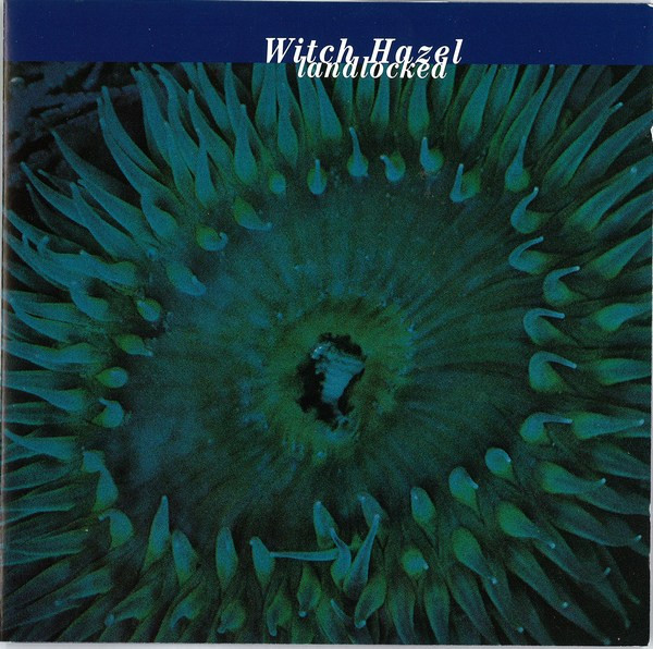 Witch Hazel Sound - Landlocked - Used CD image 1