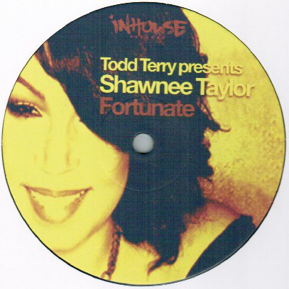 Todd Terry - Fortunate - Vinyl Record 12" image 1