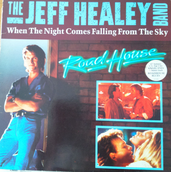 Jeff Healey Band - When The Night Comes Falling From The Sky - Used V image 1