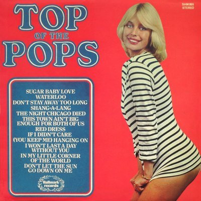 Unknown Artist - Top Of The Pops Vol. 38 - Used Vinyl Record image 1