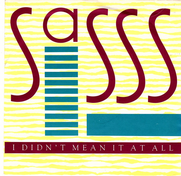 Sasss - I Didn't Mean It At All - Used Vinyl Record 7" image 1