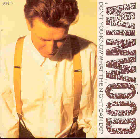 Steve Winwood - Don't You Know What The Night Can Do? - Used Vinyl Re image 1
