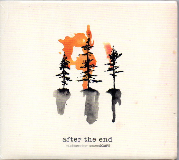 Musicians from sound - After The End - Used CD image 1