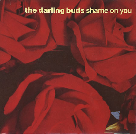Darling Buds - Shame On You - Used Vinyl Record 12" image 1