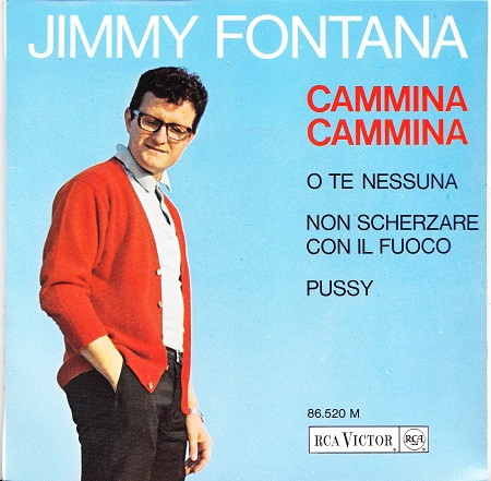 Jimmy Fontana - Cammina Cammina - Used Vinyl Record 7" image 1