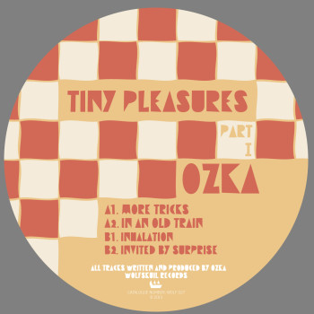 Ozka - Tiny Pleasures Part 1 - Vinyl Record 12" image 1