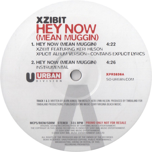 Xzibit - Hey Now (Mean Muggin) - Vinyl Record 12" image 1