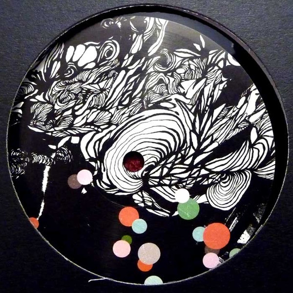 Cari Lekebusch - Missed Flight - Vinyl Record 12" image 1