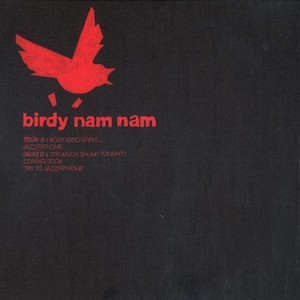 Birdy Nam Nam - Body, Mind, Spirit... EP - Used Vinyl Record 12" image 1