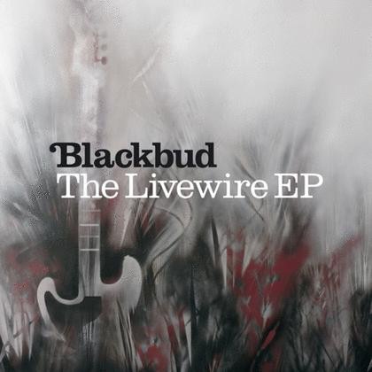 Blackbud - Livewire EP - Used CD image 1