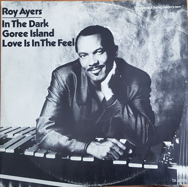 Roy Ayers - In The Dark - Used Vinyl Record 12" image 1
