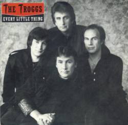 Troggs - Every Little Thing - Used Vinyl Record 7" image 1