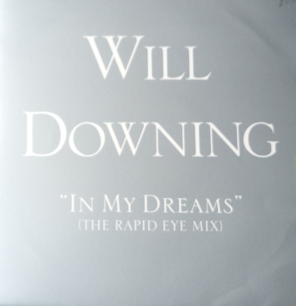 Will Downing - In My Dreams - Used Vinyl Record 12" image 1